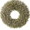 Champagne Boxwood Artificial Wreath, 20-Inch, Unlit