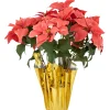 20" Dark Pink Artificial Christmas Poinsettia With Gold Wrapped Base