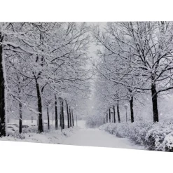 Fiber Optic Lighted Winter Lane Snowfall Christmas Canvas Wall Art 23.5" X 15.75"