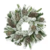 Flocked Pine Cone And Twig Ball Artificial Christmas Wreath - 24-Inch, Unlit