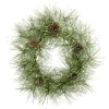 Frosted Pine Cone Artificial Christmas Wreath, 24-Inch, Unlit