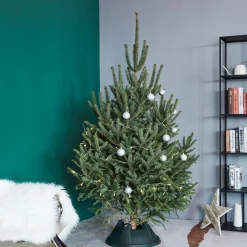 Green Live Christmas Tree Stand - For Trees Up To 8Ft Tall