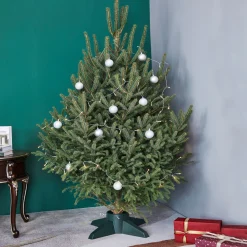 Green Live Christmas Tree Stand - For Trees Up To 9 Foot Tall
