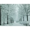 Led Lighted Fiber Optic Twinkling Snow Covered Tree Scene Canvas Wall Art 15.75" X 11.75"