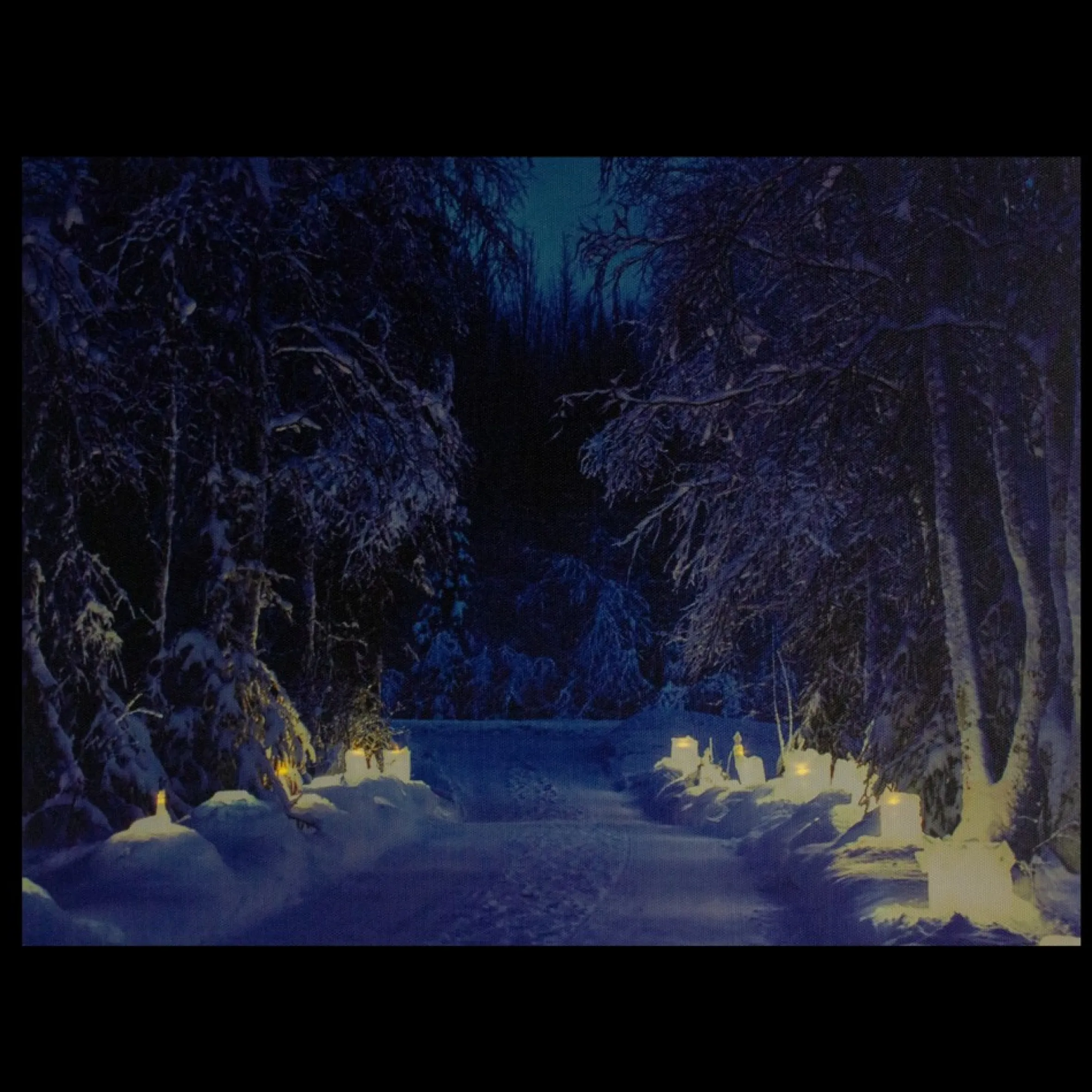 Led Lighted Nighttime In The Woods Winter Scene Canvas Wall Art 15.75"