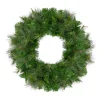 24" Mixed Canyon Pine Artificial Christmas Wreath - Unlit