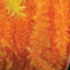 Orange Fuzzy Boa Party Garland 0.75" X 55 Yards