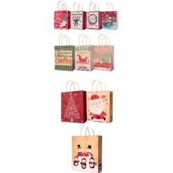 Pack Of 10 Assorted Christmas Gift Bags With Handle