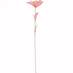20.75
