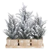 17" Potted Mini Snow Trees On Tray Christmas Arrangement