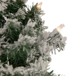 Pre-Lit Flocked Victoria Pine Artificial Christmas Wreath - 24-Inch, Clear Lights