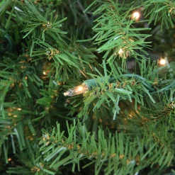 Pre-Lit Northern Pine Artificial Christmas Wreath - 24-Inch, Clear Lights