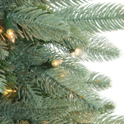 Pre-Lit Washington Frasier Fir Artificial Christmas Wreath, 48 Inch - Clear Lights