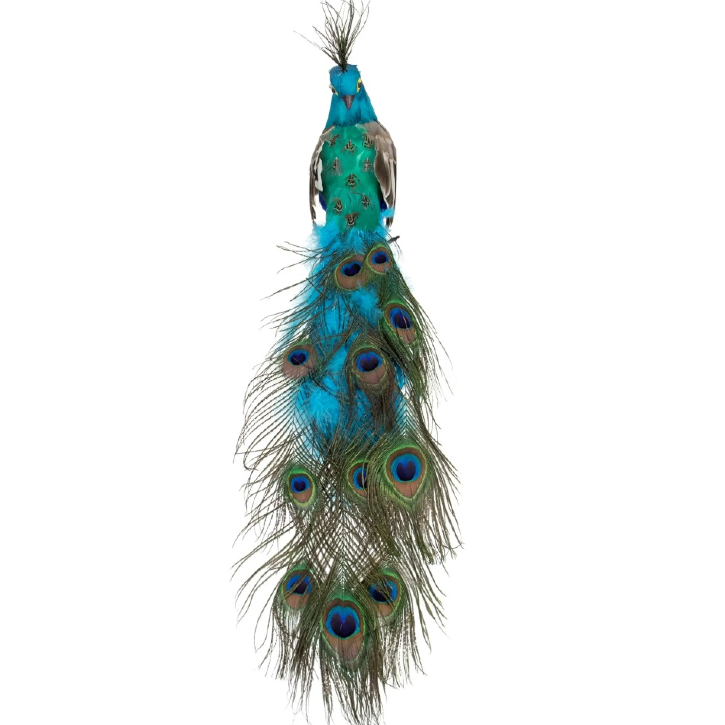 23.5" Regal Peacock With Closed Tail Feathers Christmas Decoration