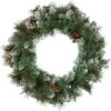 Snow Valley Pine Artificial Christmas Wreath, 24-Inch, Unlit