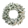 24" Unlit Flocked Spruce Puleo International Artificial Christmas Wreath