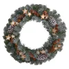 Winter Frosted Stars And Pinecones Artificial Christmas Wreath, 24-Inch, Unlit