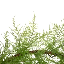 5' X 8" Green And Brown Cedar Artificial Christmas Garland - Unlit