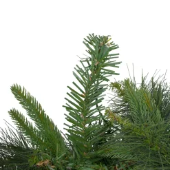 6' X 14